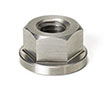 Stainless Steel Flange Nut